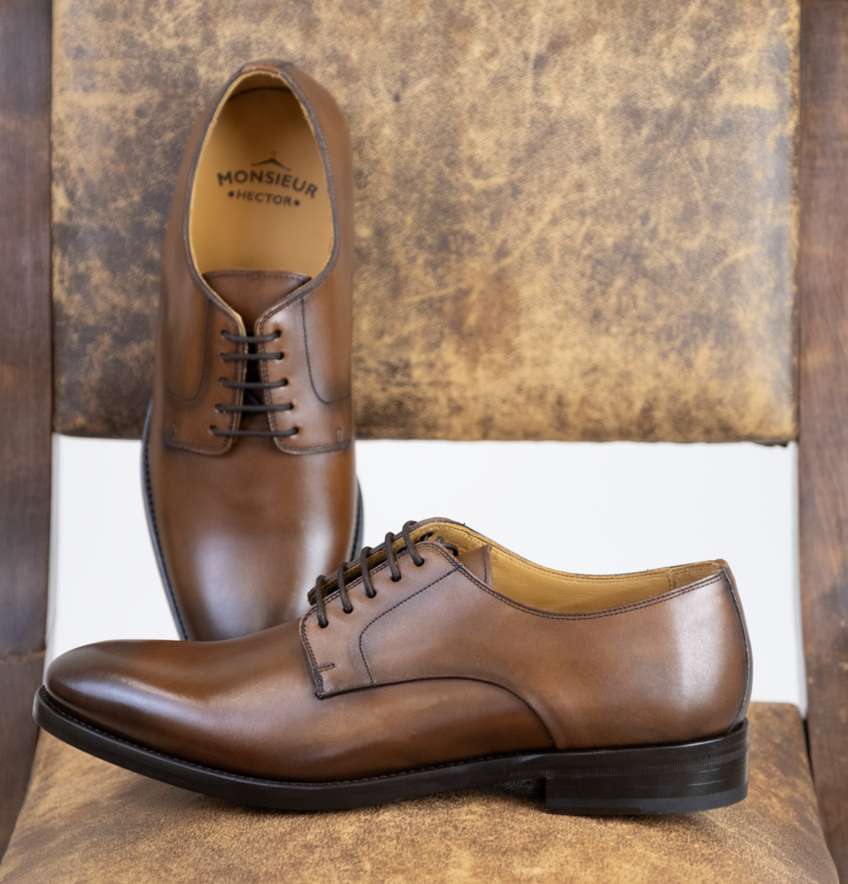 H253 DERBYCO COGNAC
