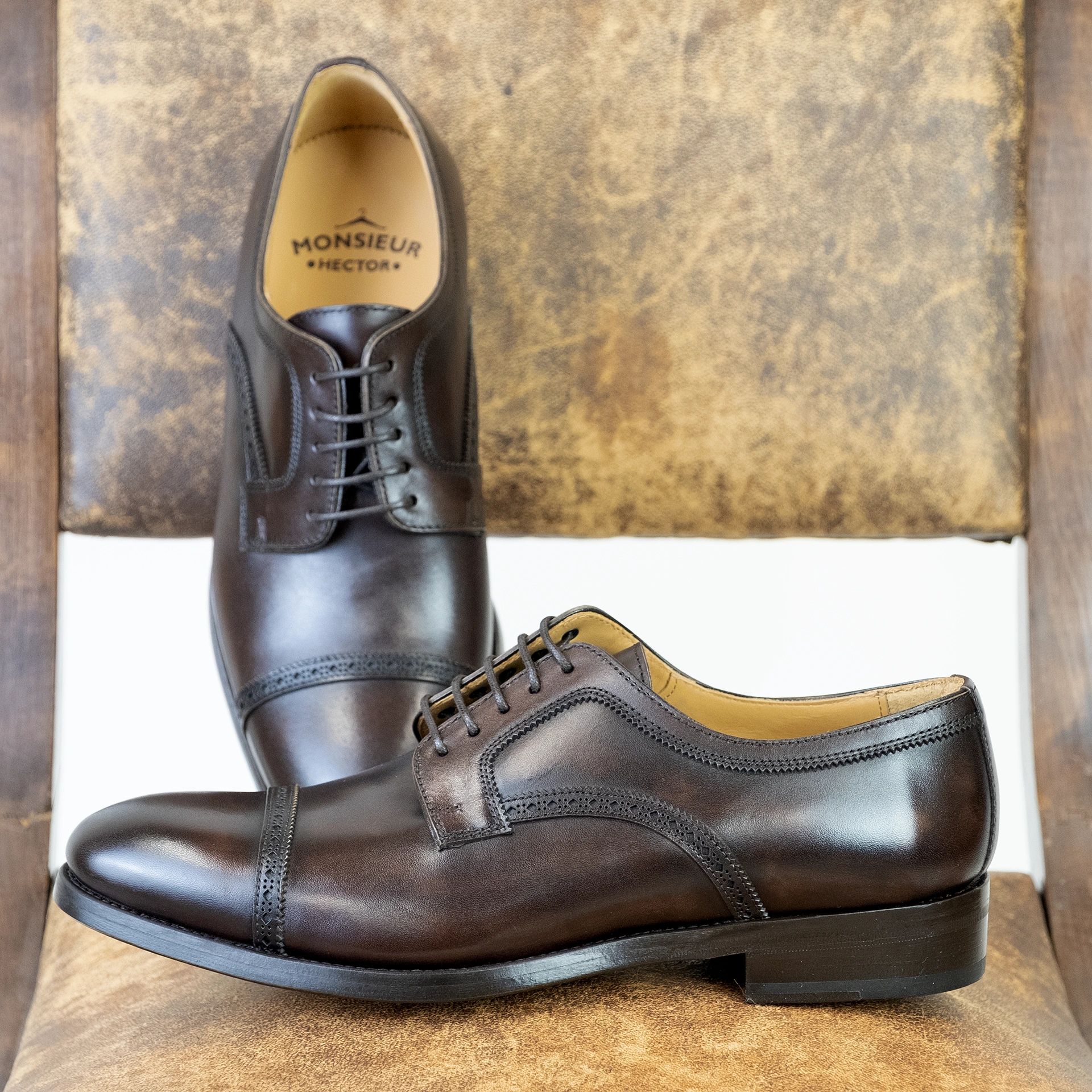 H559 DERBY CHATAIGNE